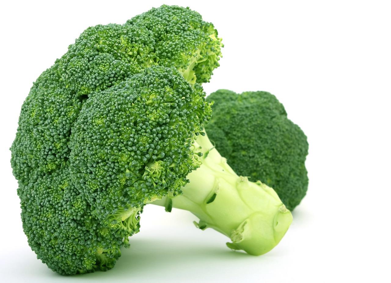 Broccoli Microgreens [Pilot]